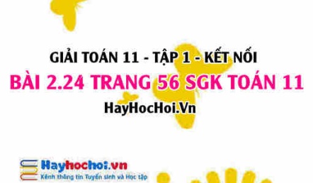 Giải bài 2.24 trang 56 Toán 11 tập 1 SGK Kết nối tri thức